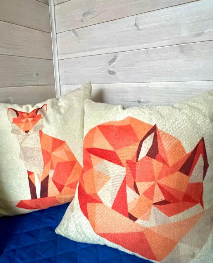 Guest House Mr Fox Druskininkai Buitenkant foto